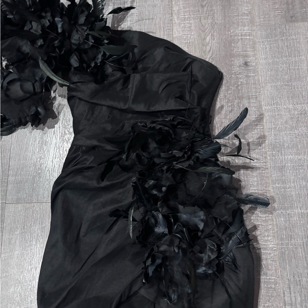 Elegant Black Feathered Dress